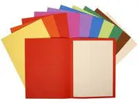 Mapp FOREVER recy sort.färg 100/fp Primmeshiper