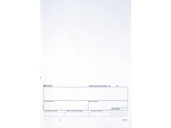 Standardblankett talong Bankgiro 250/fp - Primmeshiper