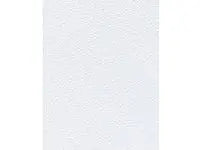 Servett 1-lags 24x30cm vit 300/fp - Primmeshiper