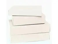 Arkivkartong A4 55mm vit 100/fp - Primmeshiper