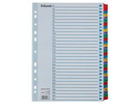 Kartongregister m. plastfl. A4 1-31 färg - Primmeshiper