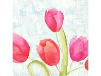 Servetter Tulips 3-lags 33X33cm 50/fp - Primmeshiper